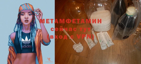 ПСИЛОЦИБИНОВЫЕ ГРИБЫ Чекалин