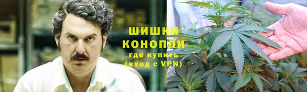 ПСИЛОЦИБИНОВЫЕ ГРИБЫ Чекалин