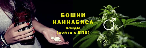 PSILOCYBIN Вязники