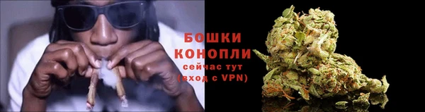 ПСИЛОЦИБИНОВЫЕ ГРИБЫ Чекалин