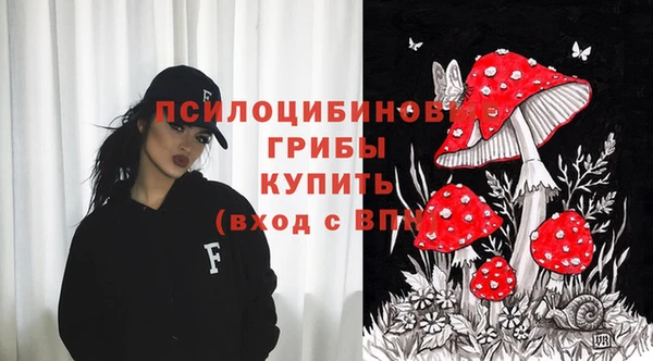 спайс Чегем
