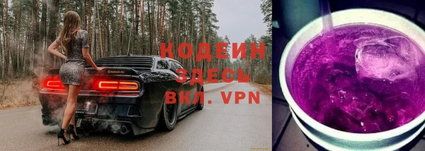 ПСИЛОЦИБИНОВЫЕ ГРИБЫ Чекалин