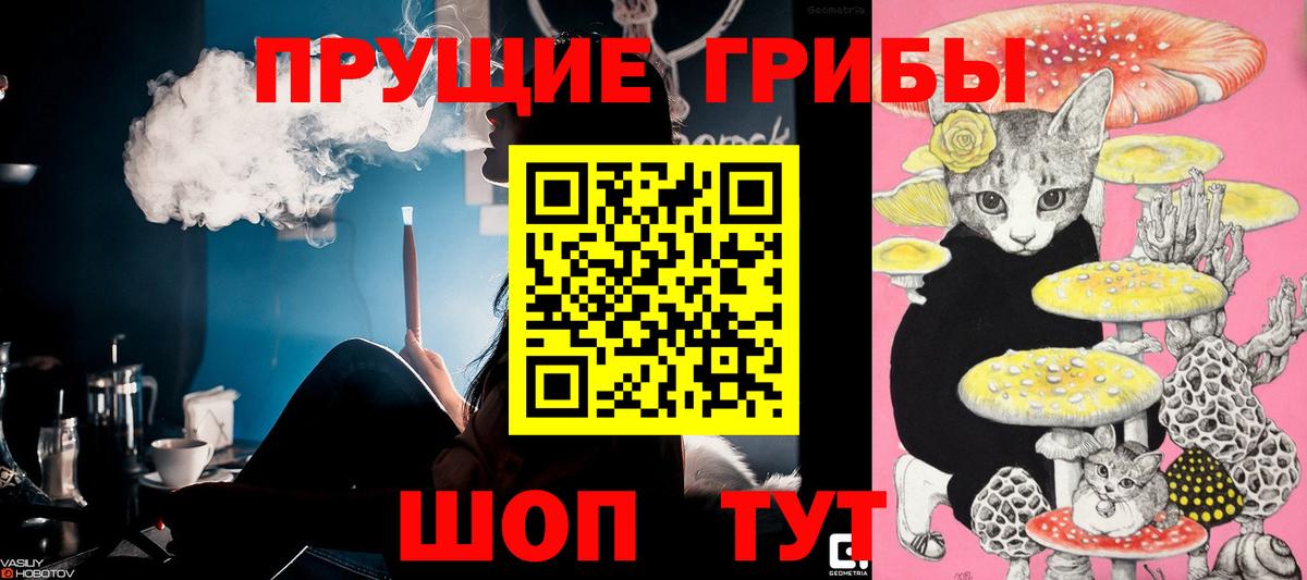 Галлюциногенные грибы GOLDEN TEACHER Электрогорск