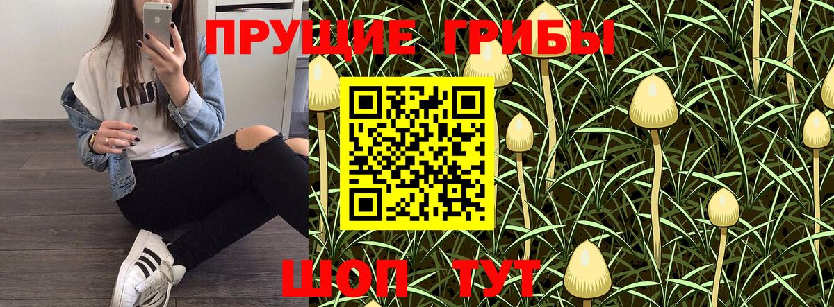 Псилоцибиновые грибы Magic Shrooms  Вход с VPN  Электрогорск  Галлюциногенные грибы Magic Shrooms 