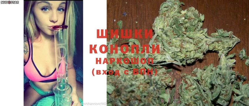 закладки  Электрогорск  Конопля OG Kush 