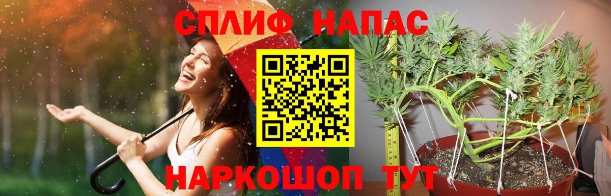 Каннабис Amnesia Электрогорск